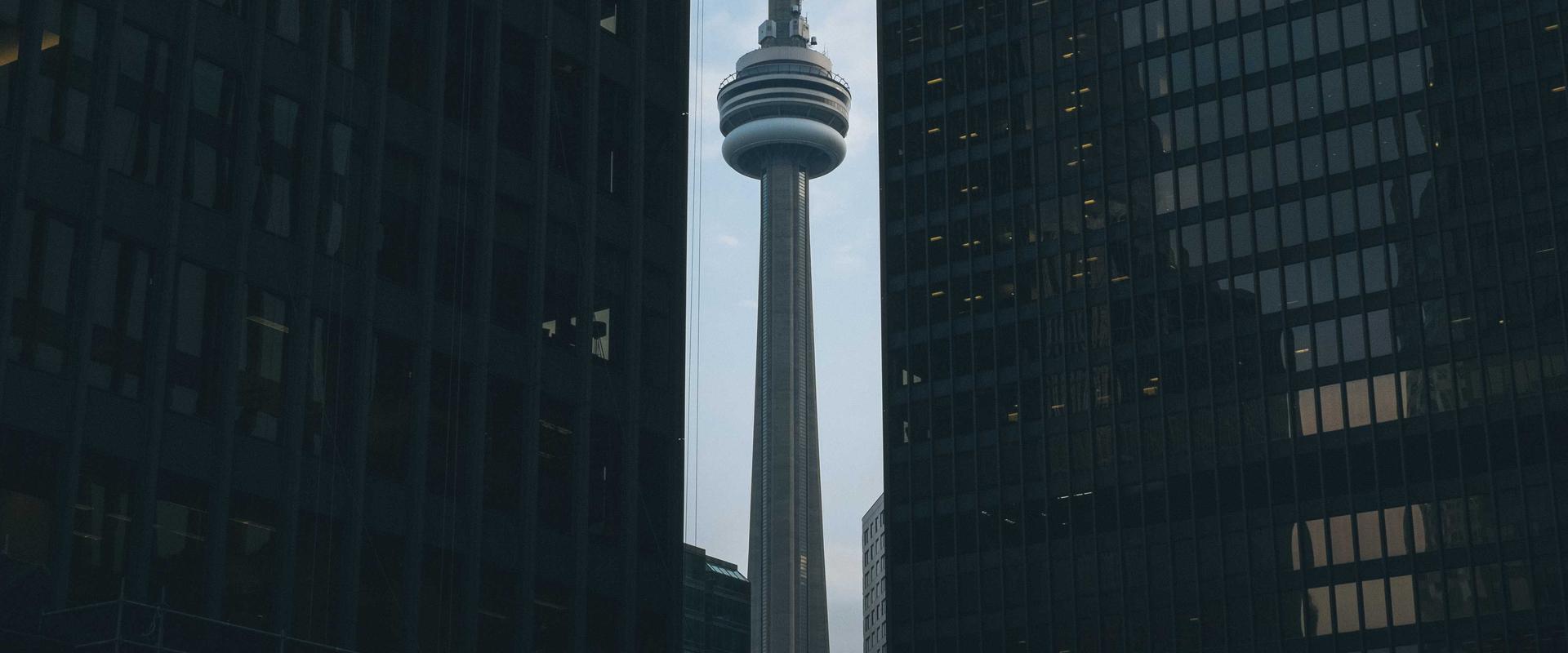 世界杯赛事氛围背景图 - 球场与球迷热烈场景