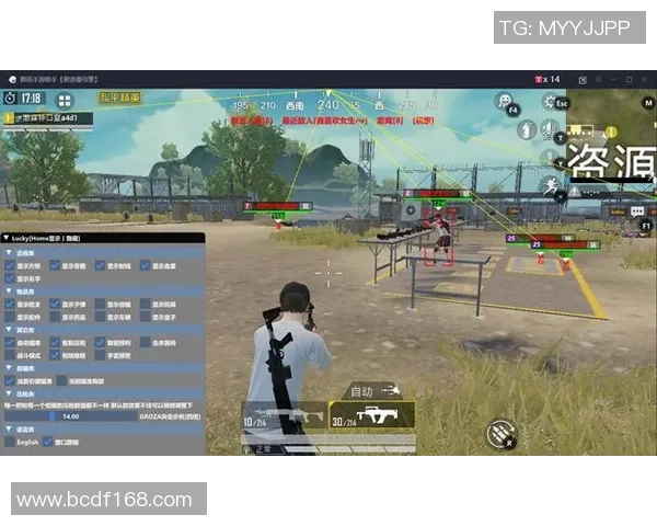 与张丽畅谈和平精英的成长历程与游戏心得分享实时数据